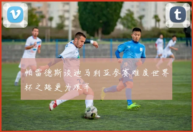 帕雷德斯谈迪马利亚参赛难度世界杯之路更为艰辛